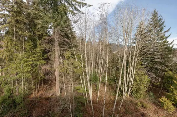 613 3596 Malsum Drive, North Vancouver For Sale - image 26