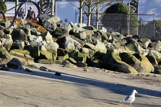 JNW33 415 West Esplanade, North Vancouver For Sale - image 23