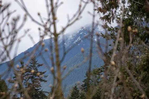 515 119 West 22nd Street, North Vancouver For Sale - image 29