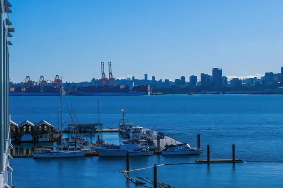 619 755 Harbourside Drive, Vancouver For Sale - image 35