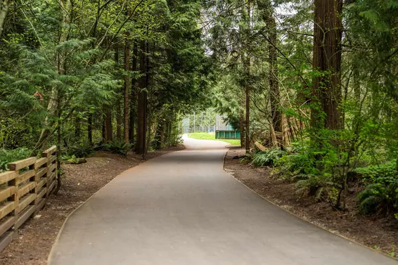 317 2020 Cedar Village Crescent, North Vancouver For Sale - image 38