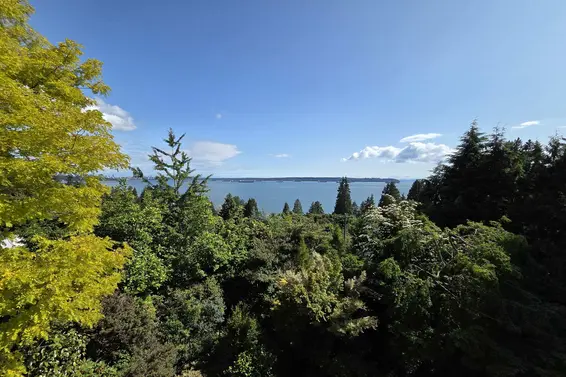 3254 Mathers Avenue, West Vancouver For Sale - image 5