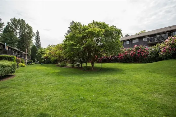 302 555 West 28th Street, North Vancouver For Sale - image 33