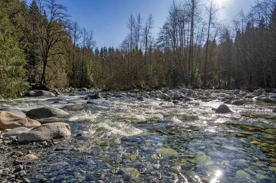 3981 Lynn Valley Road, North Vancouver For Sale - image 36