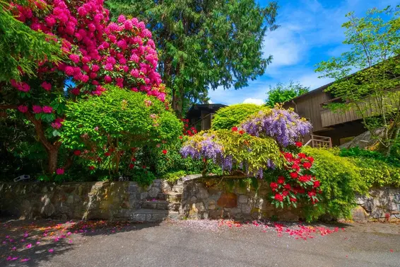 5335 Marine Drive, West Vancouver For Sale - image 4