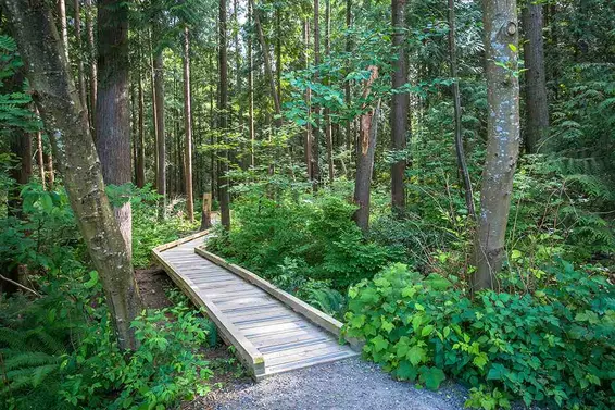 1961 Cedar Village Crescent, North Vancouver For Sale - image 14