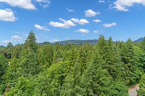 1404 2024 Fullerton Avenue, North Vancouver For Sale - image 25