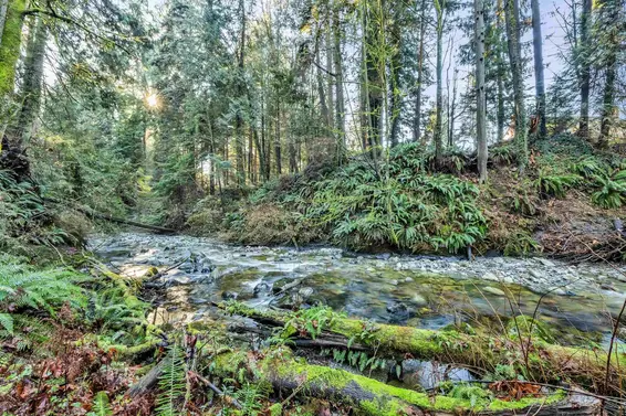 430 Macbeth Crescent, West Vancouver For Sale - image 27