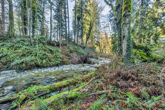 430 Macbeth Crescent, West Vancouver For Sale - image 28