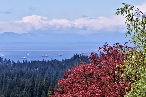 5164 Madeira Court, North Vancouver For Sale - image 25