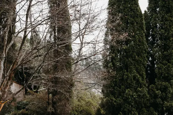 328 Monteray Avenue, North Vancouver For Sale - image 29