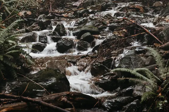 328 Monteray Avenue, North Vancouver For Sale - image 34