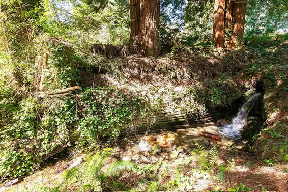 388 Mulgrave Place, West Vancouver For Sale - image 37