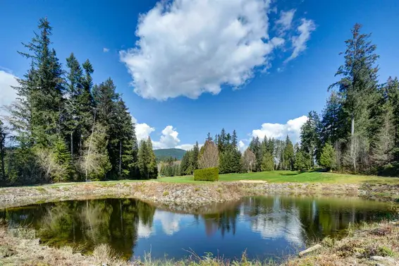3360 Mt Seymour Parkway, North Vancouver For Sale - image 19