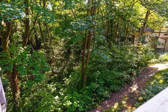 3182 Mountain Highway, North Vancouver For Sale - image 30