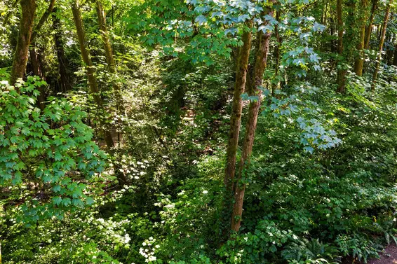 3182 Mountain Highway, North Vancouver For Sale - image 31