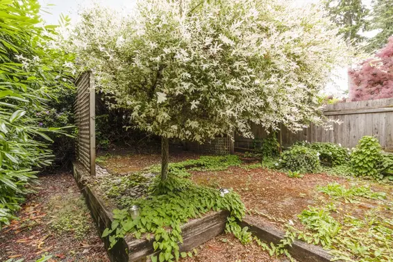 2319 Marine Drive, West Vancouver For Sale - image 34