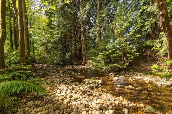 212 3275 Mountain Highway, North Vancouver For Sale - image 24