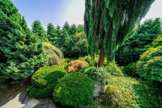 1346 Whitby Road, West Vancouver For Sale - image 9