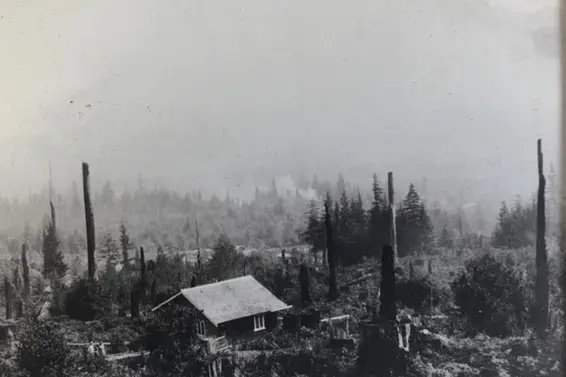 1371 Borthwick Road, North Vancouver For Sale - image 32