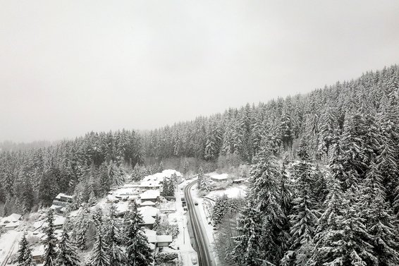 Our 2022 North Shore Year End market review is now available