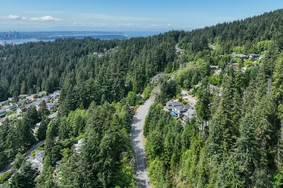 Rossetti Market Review | July 2023 - Now Posted!