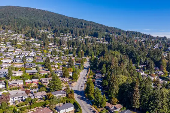 Rossetti Market Review - January 2023