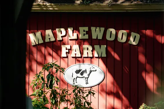 Maplewood Farm Turns 50: A Local Gem Celebrates a Big Birthday