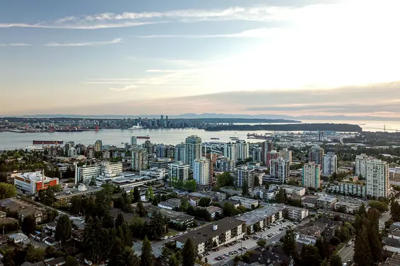 Our July 2019 market review is now available!