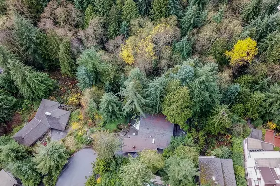 Just Listed // 498 Monteray Avenue