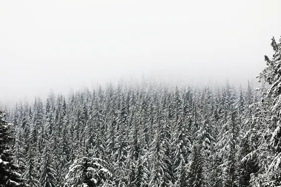 Snow!!!!