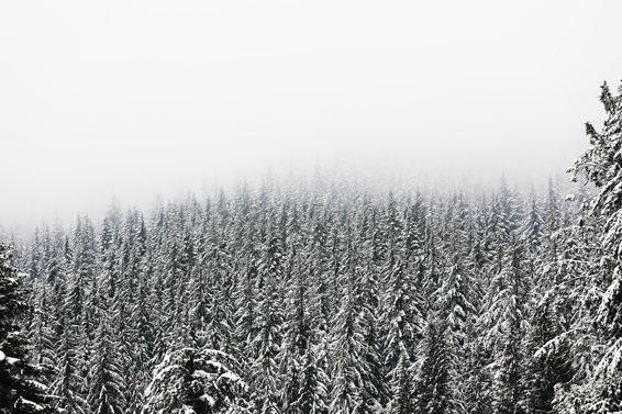 Snow!!!!