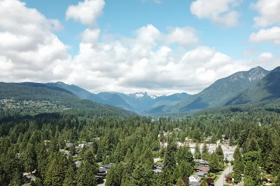 Our Q2 & June 2020 market review is now available!