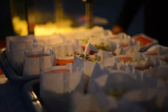 Our 4th Annual Outdoor Movie Night: In photos. . .
