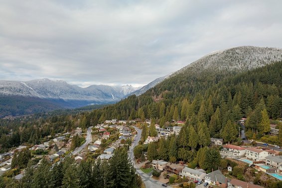 Our January 2021 market review is now available!