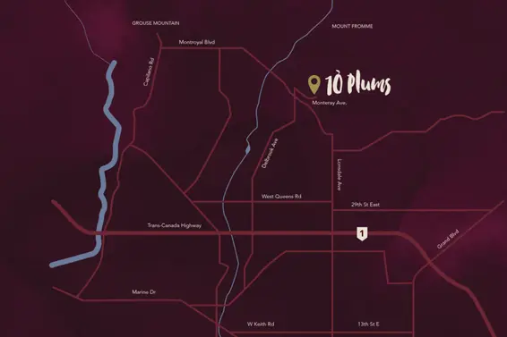 10 Plums | 10 new homes coming to Upper Delbrook