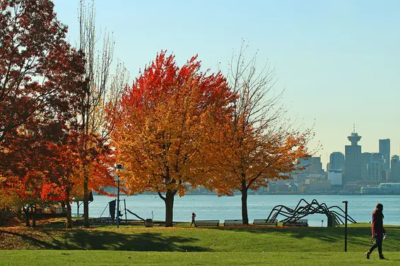 Fall in the City