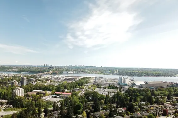 Our May 2021 market review is now available!