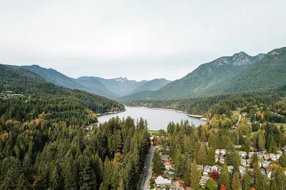 Our June 2019 Market Update is Now Available!