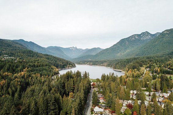 Our June 2019 Market Update is Now Available!