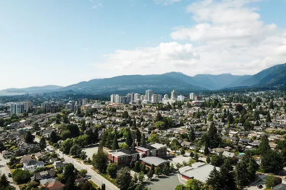 Our August 2020 market review is now available!