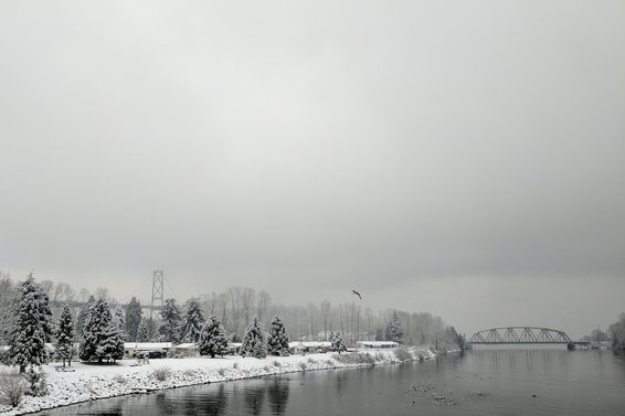 Snow Day