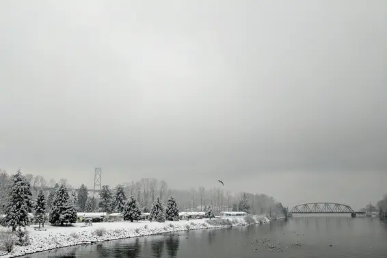 Snow Day