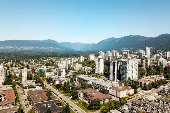 Our August 2019 market review is now available!