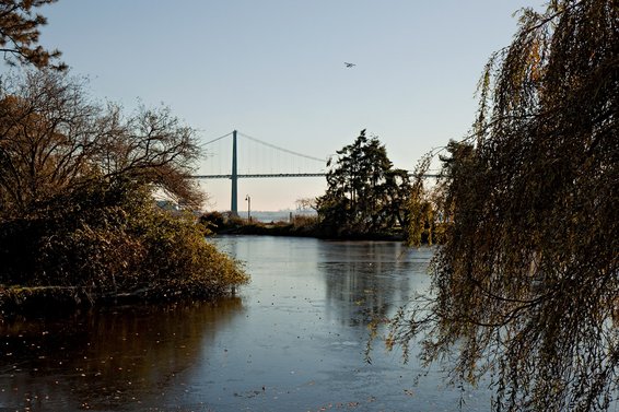 frozen Pond at Ambleside Park