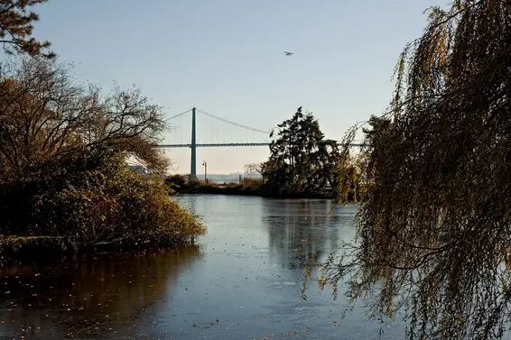 frozen Pond at Ambleside Park