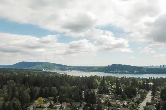 Our May 2020 market review is now available!