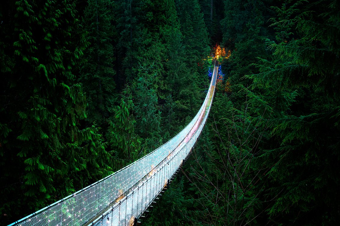 Canyon Lights at Capilano Suspension Bridge Nov 22nd Jan 26th