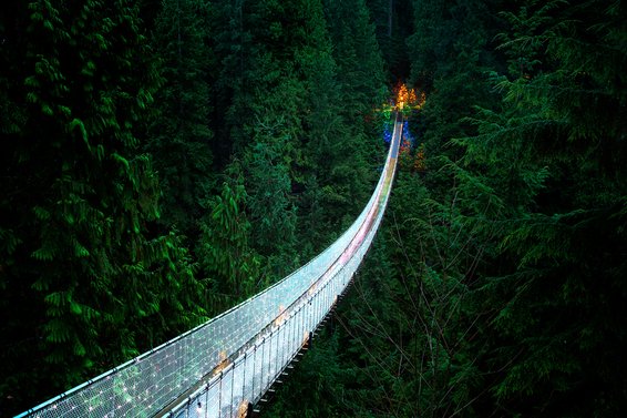Canyon Lights | Nov 22nd - Jan 26th