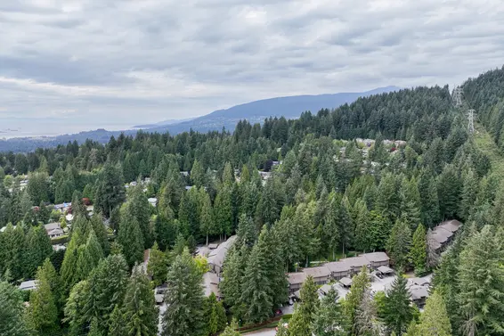 What Happens If a Strata Doesn’t Have Any Bylaws in B.C.?